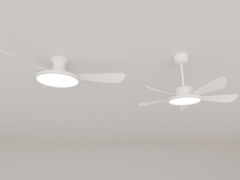 Simple fan lamp ceiling fan