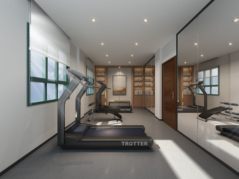 Modern Fitness Room Gym