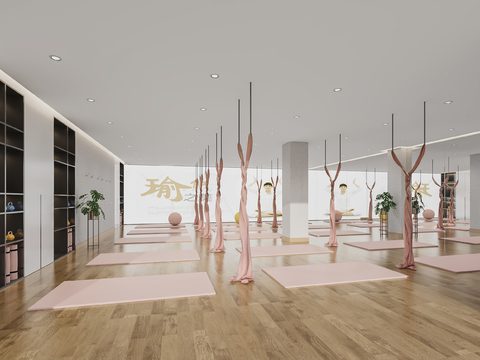 Modern Yoga Studio