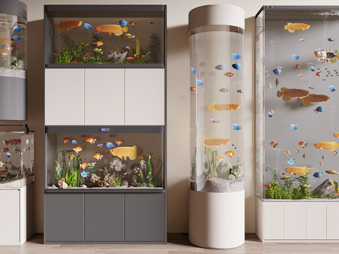 modern aquarium aquarium