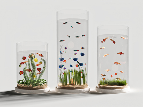 round aquarium