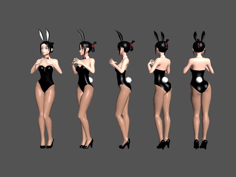 bunny girl beautiful sexy figure