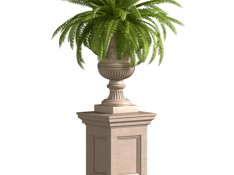 Flower bowl flowerbed boston fern