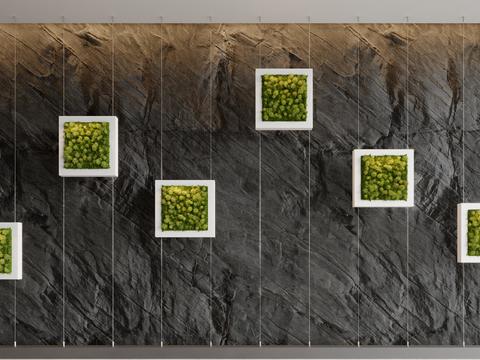 Moss plant wall landscaping sketch