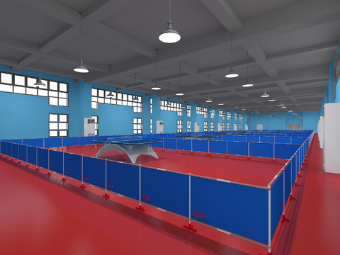 Table Tennis Hall