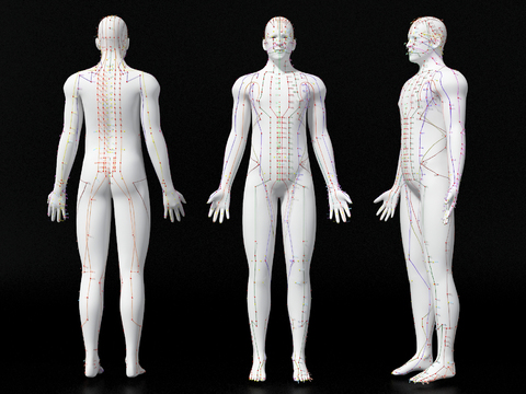 Traditional Chinese Medicine Meridian Human Body Standing Posture