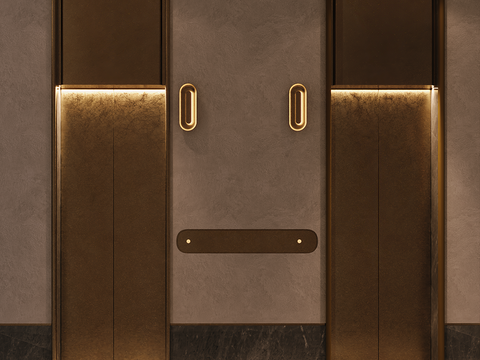 Affordable Luxury Style Elevator Hall Elevator Door