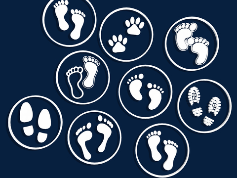 Footprints Wall Decorations Animal Footprints