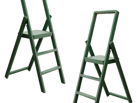 Ladder Step Ladder