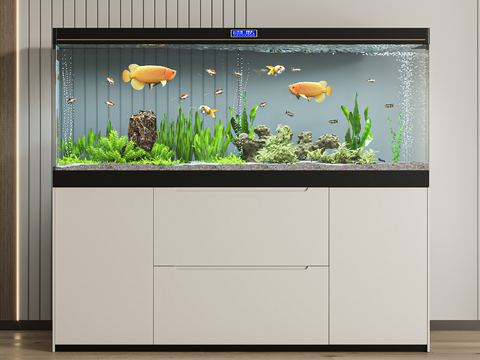 Fish tank aquarium