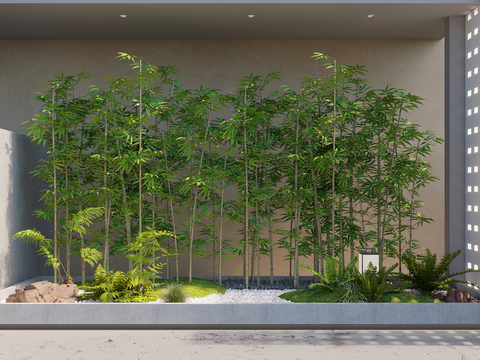 bamboo landscape rich bamboo fern green plant