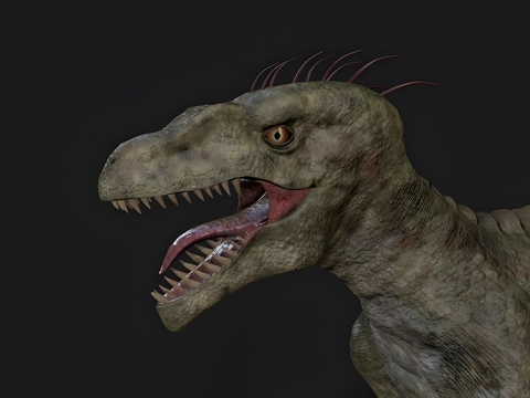 Dinosaur Raptor Animal