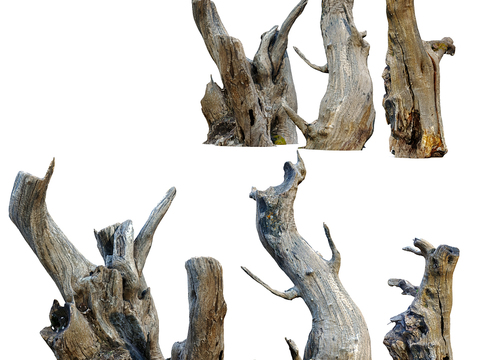 Modern stump root carving