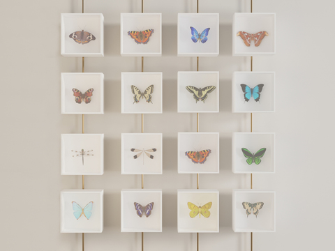 Modern Insect Specimen Wall Decoration