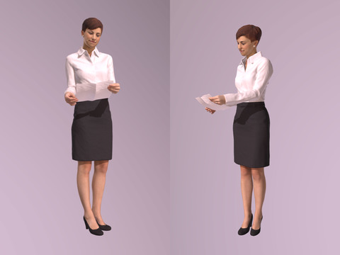 Modern Workplace Ladies Dress Ladies