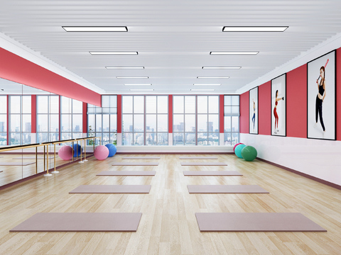 Modern indoor Yoga Studio