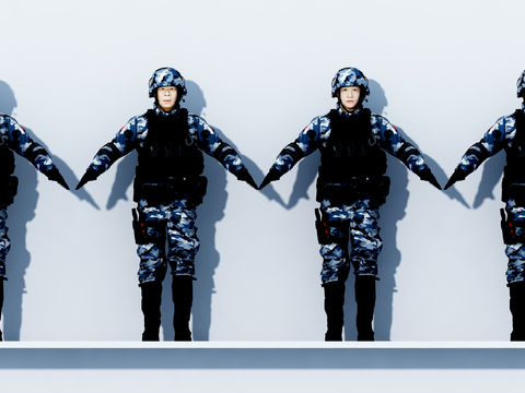 Special police and armed police figures