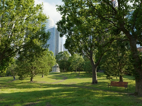 Park landscape shrub green lawn