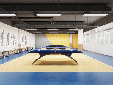 Table Tennis Activity Room