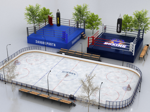 outdoor boxing ring ice hockey rink