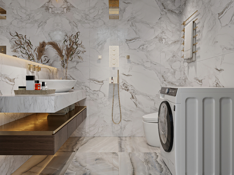 Affordable Luxury Style Toilet Bathroom Laundry Room