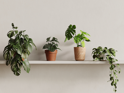 tabletop potted plant of hanging orchid and bamboos