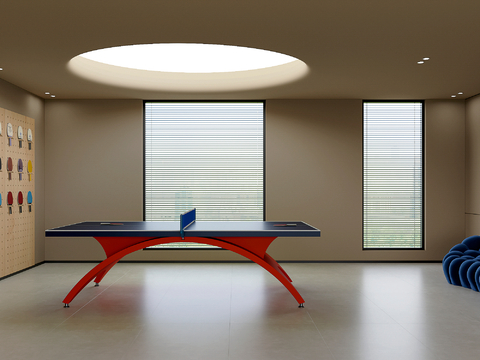 Modern table tennis room sports room