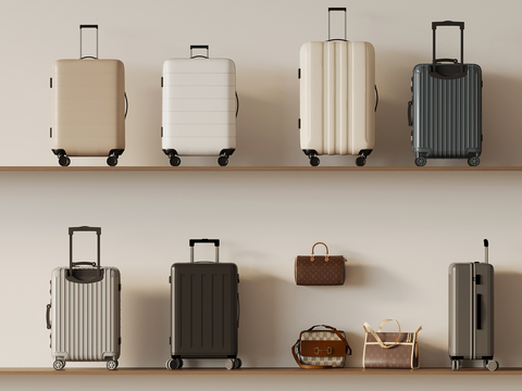 Modern Luggage Suitcase