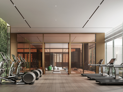 CCD Modern Hotel Gym Yoga Studio