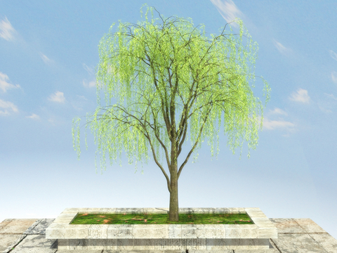 landscape tree tree weeping willow