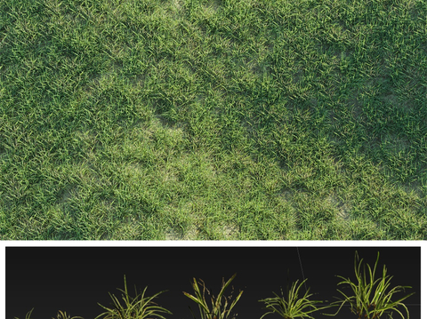 Meadow thatched lawn