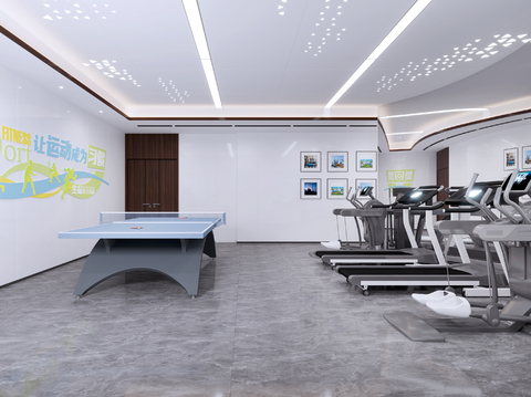 Modern Activity Room Gym