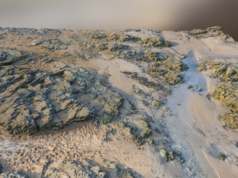 Beach Rock Terrain