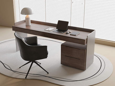 Modern Desk Writing Desk