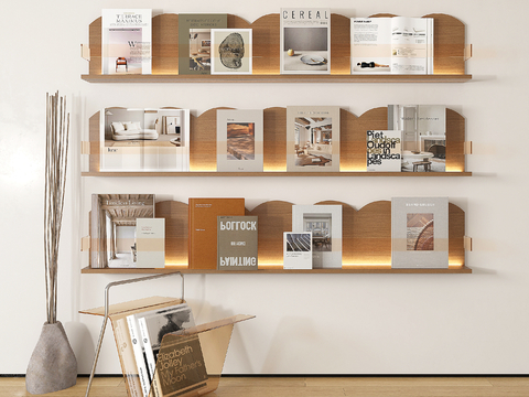 Modern Bookshelf Magazine Books