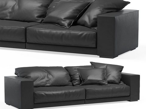 Baxter two-seat sofa leather sofa