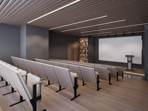 Hotel Conference Lecture Room Ladder Classroom