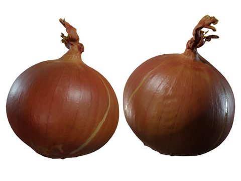 Onion and onion