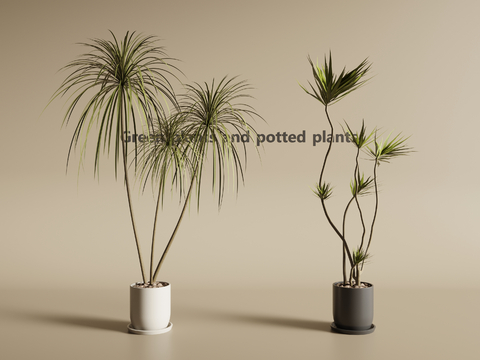 Modern Green Plant Potted Plant