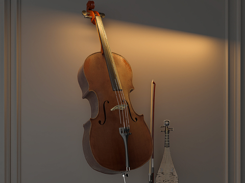 Musical Instrument Cello Lute