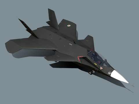 Military Aircraft Stealth Fighter