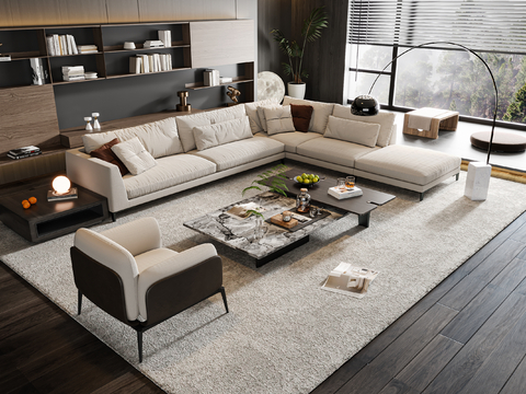 Modern sofa combination