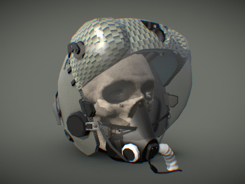 Pilot's Helmet