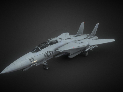 F14 Tomcat Fighter