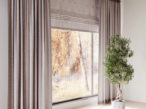 Modern Curtain Window Screen