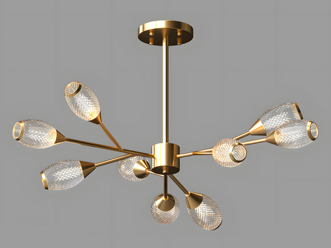 Affordable Luxury Style Chandelier Multi-head Chandelier