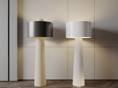 Modern floor lamp Minimalist floor lamp