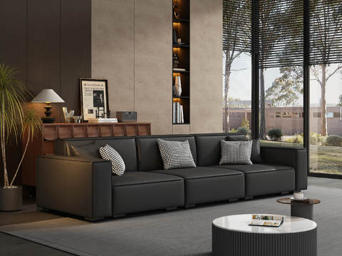 Modern Couch leather sofa