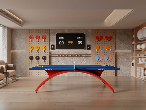 Table Tennis Room Modern Recreation Room