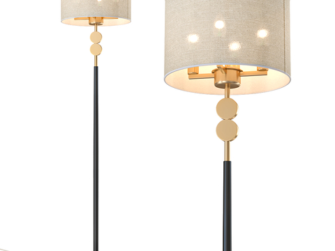 Modern floor lamp